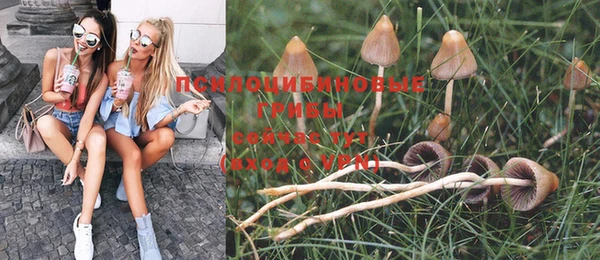 круглые Ладушкин