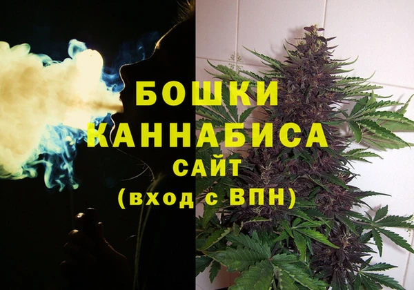 2c-b Лагань