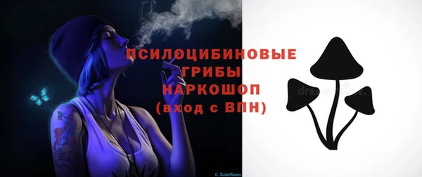 хмурый Приозерск