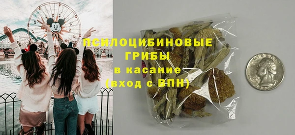 гидра Артём