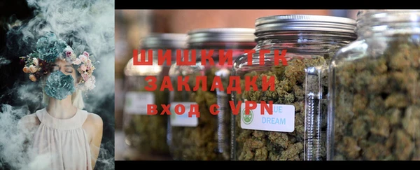 2c-b Лагань